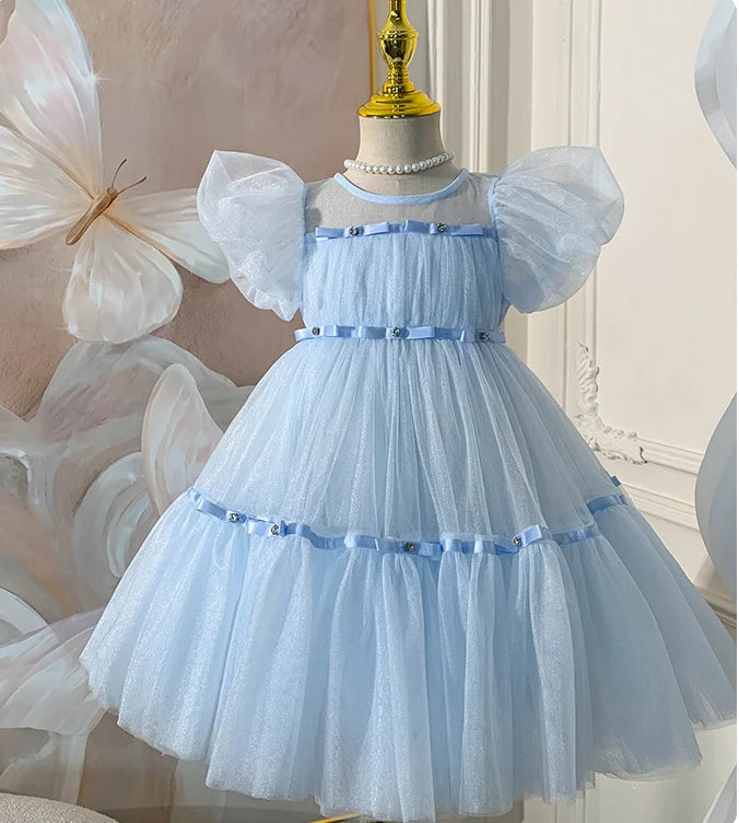 Blue Belle Princess Dress
