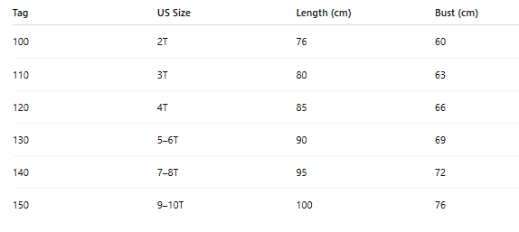 Snow Dream Queen Costume