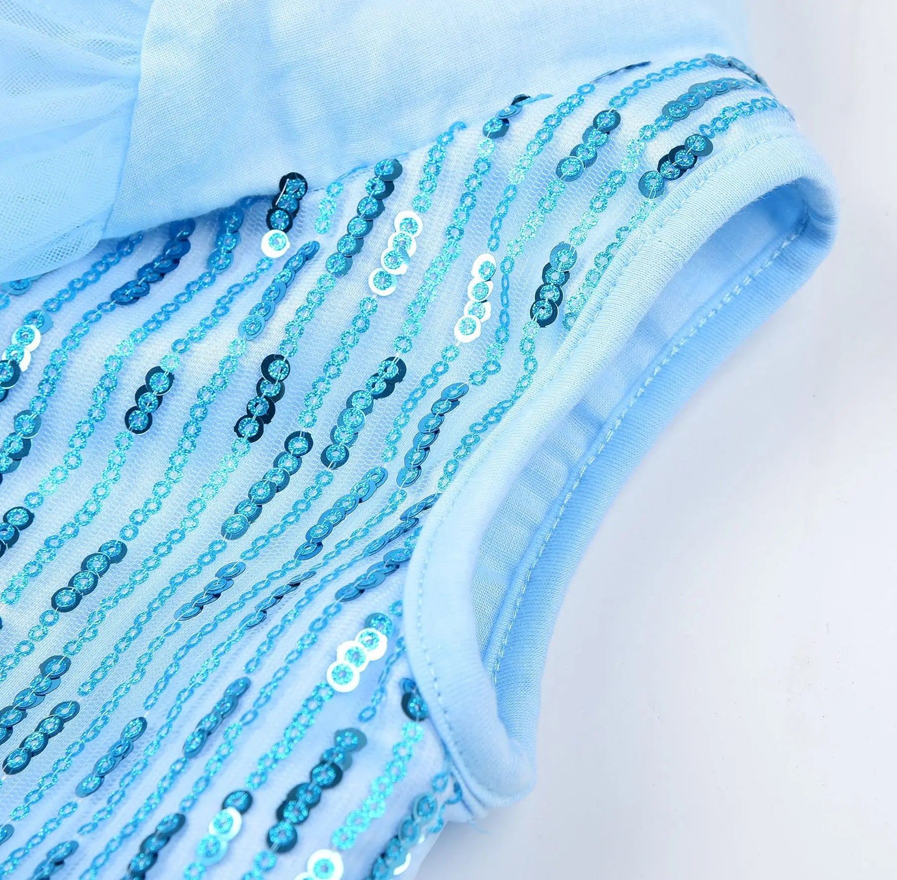 Snow Dream Queen Costume