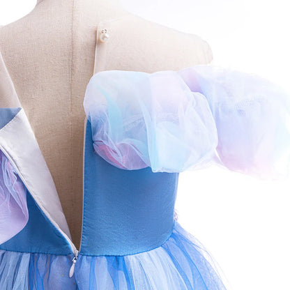 Butterfly Dream Princess Costume