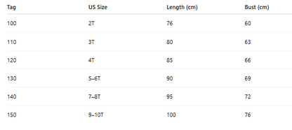 Snow Dream Queen Costume