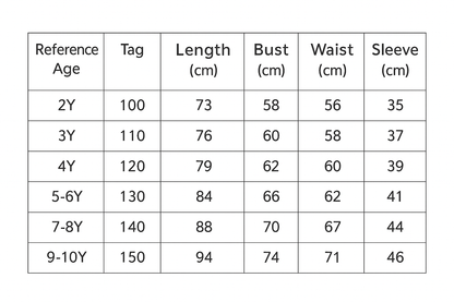 Highland Spirit Princess Costume